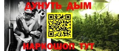 spice Обь