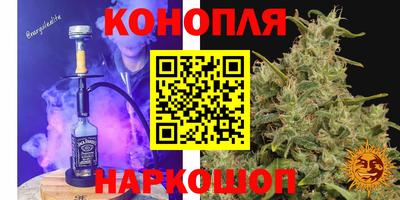 spice Обь